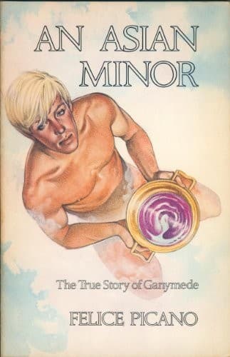 Cover of An Asian minor