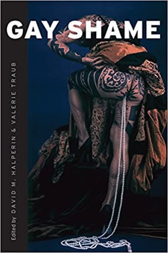 Cover of Gay Shame