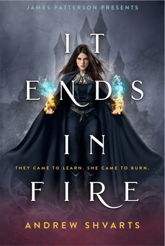 Cover of It Ends in Fire