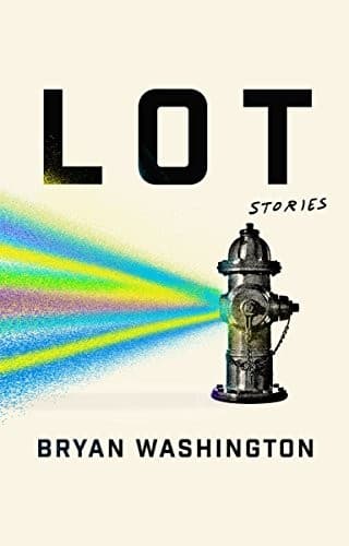 Cover of Lot