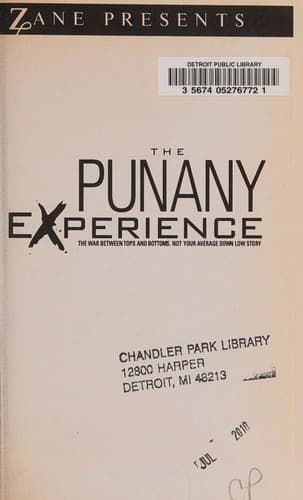 Cover of Punany Experience