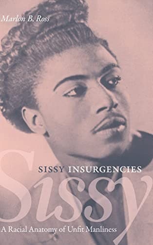 Cover of Sissy Insurgencies