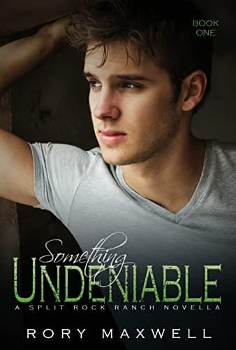 Cover of Something Undeniable
