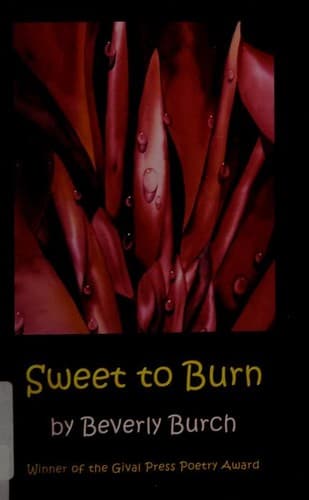 Cover of Sweet to Burn
