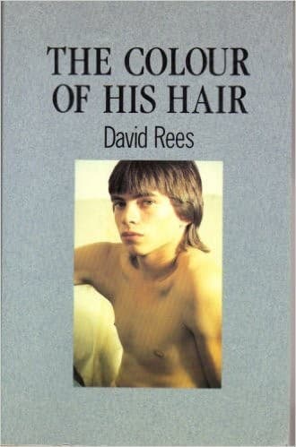 Cover of The colour of his hair