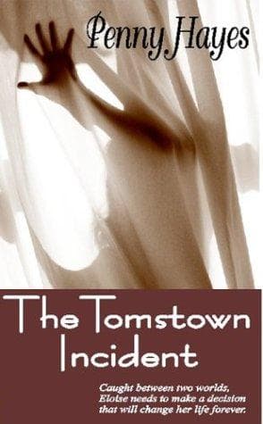 Cover of The Tomstown Incident