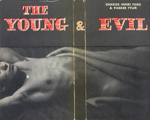 Cover of The young and evil