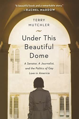 Cover of Under This Beautiful Dome