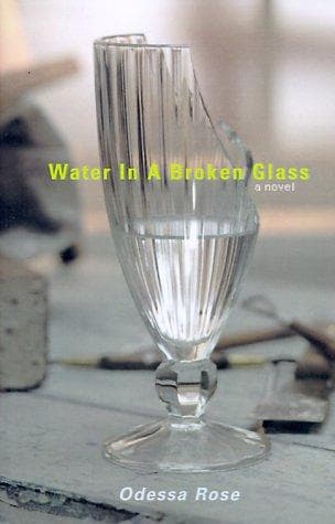 Cover of Water in a broken glass