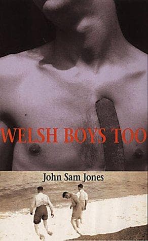 Cover of Welsh Boys Too