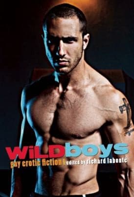 Cover of Wild Boys Gay Erotic Fiction
