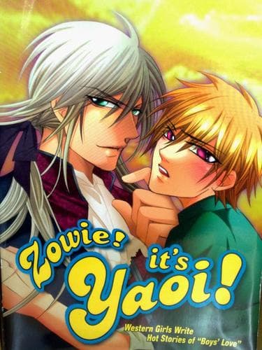 Cover of Zowie! It's yaoi!