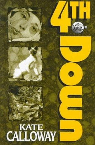 Cover of 4th Down