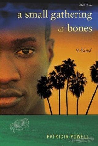 Cover of A small gathering of bones