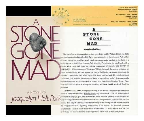 Cover of A stone gone mad