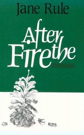 Cover of After the Fire