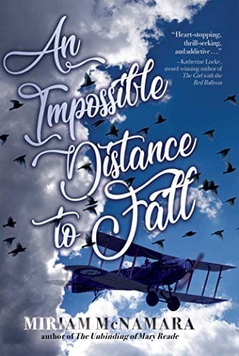 Cover of An Impossible Distance to Fall