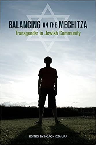 Cover of Balancing on the mechitza