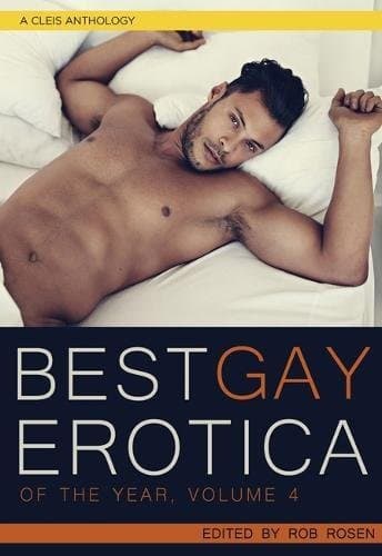 Cover of Best Gay Erotica of the Year Volume 4