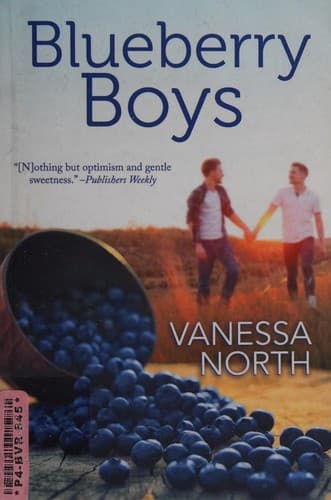 Cover of Blueberry Boys