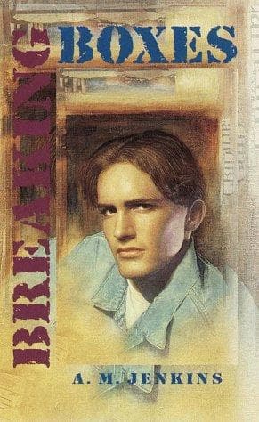 Cover of Breaking Boxes
