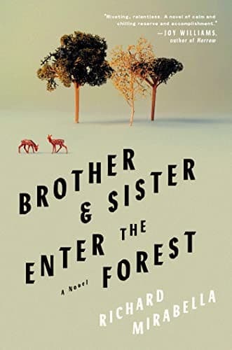 Cover of Brother & Sister Enter the Forest