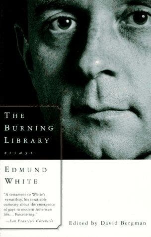 Cover of Burning Library