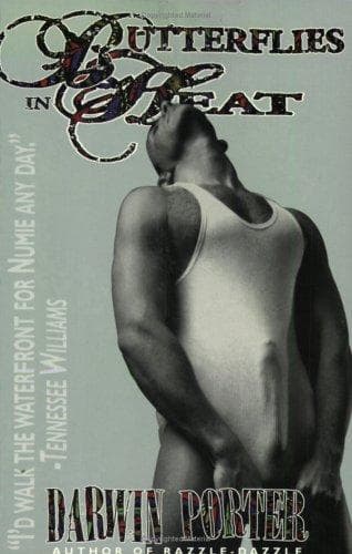 Cover of Butterflies in Heat