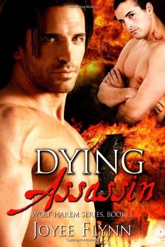 Cover of Dying Assassin