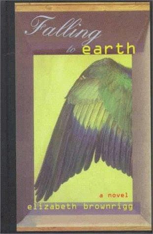 Cover of Falling to Earth