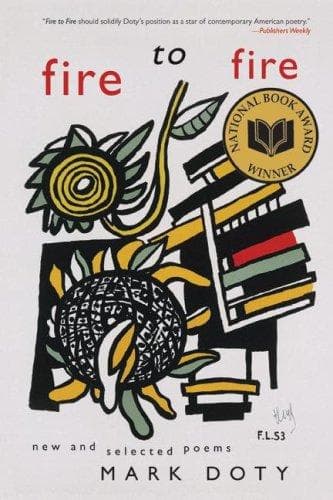 Cover of Fire to Fire