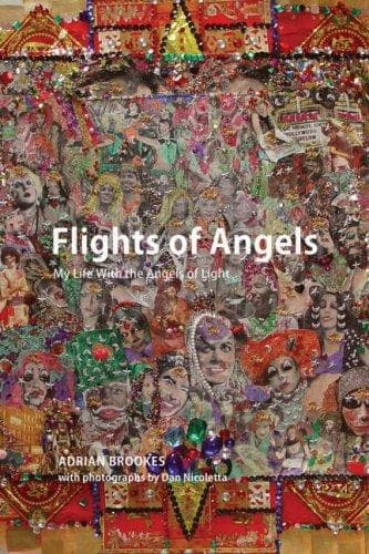 Cover of Flights of Angels