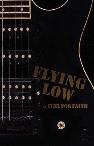 Cover of Flying Low