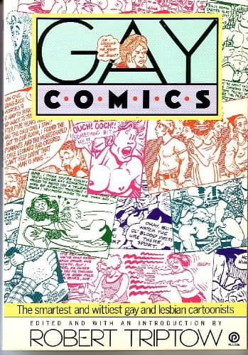 Cover of Gay comics