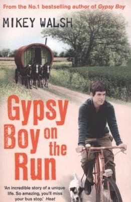 Cover of Gypsy Boy on the Run