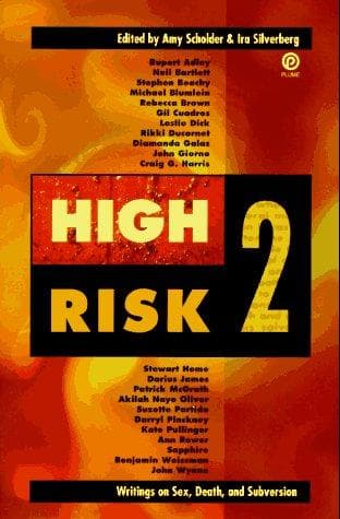 Cover of High risk 2