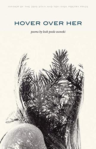 Cover of Hover over Her