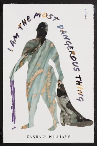 Cover of I Am the Most Dangerous Thing