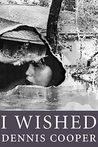 Cover of I Wished