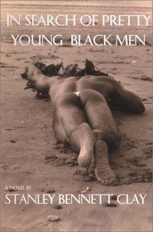 Cover of In Search of Pretty Young Black Men