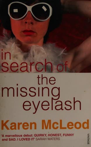 Cover of In Search of the Missing Eyelash