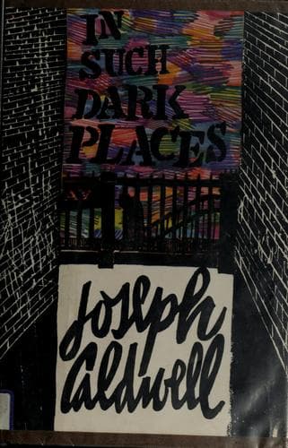 Cover of In Such Dark Places