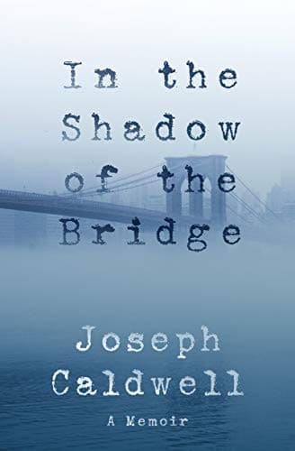 Cover of In the Shadow of the Bridge