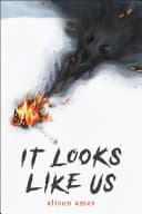 Cover of It Looks Like Us