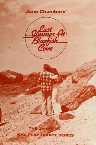 Cover of Last summer at Bluefish Cove