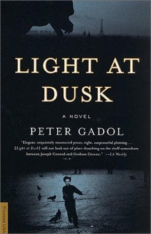 Cover of Light at Dusk