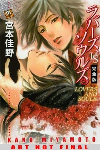 Cover of Lovers and Souls