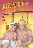 Cover of Meatmen, Vol. 15
