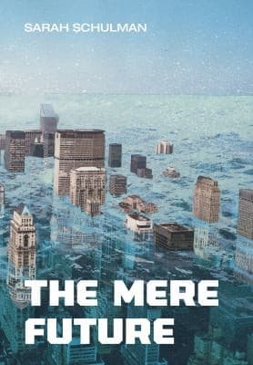 Cover of Mere Future
