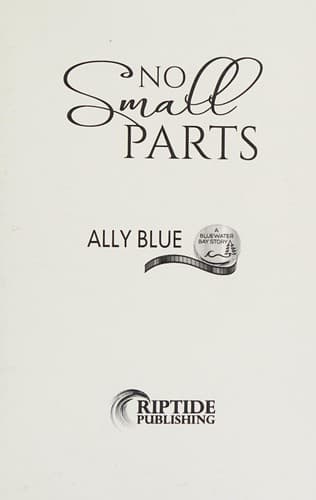 Cover of No Small Parts